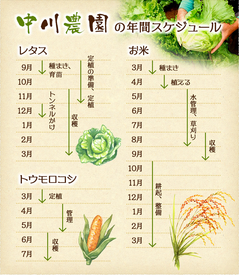 schedule